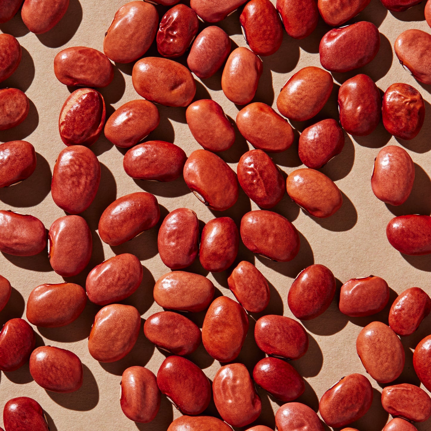 Organic King City Pink beans (25 lb.)