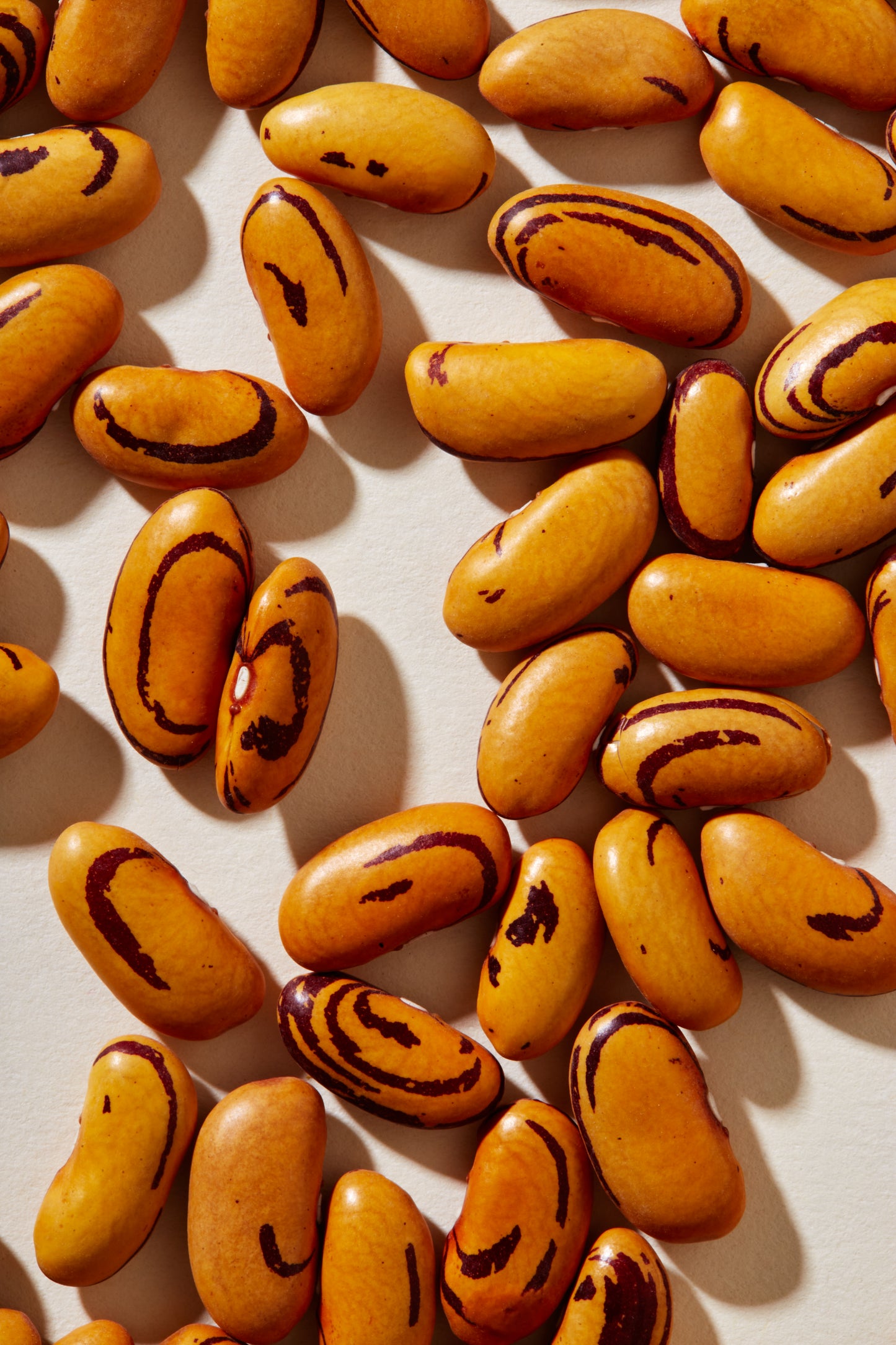 Organic Tiger's Eye Beans (25 lb.)