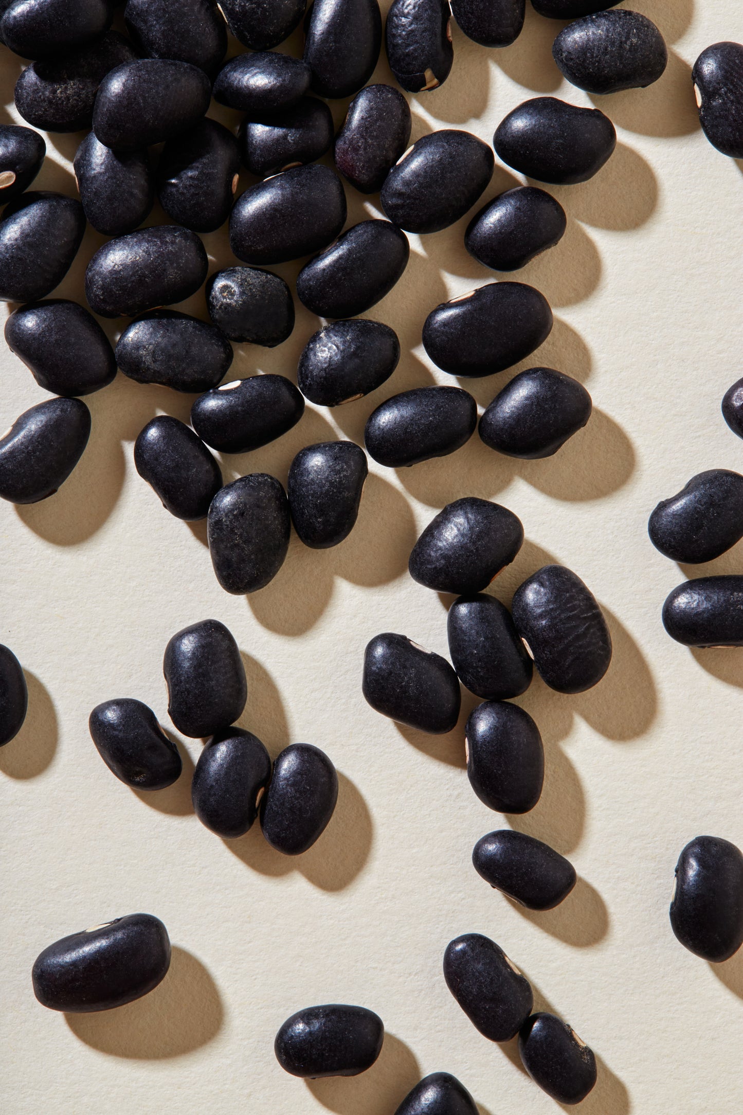 Organic Black Tepary Beans (25 lb.)