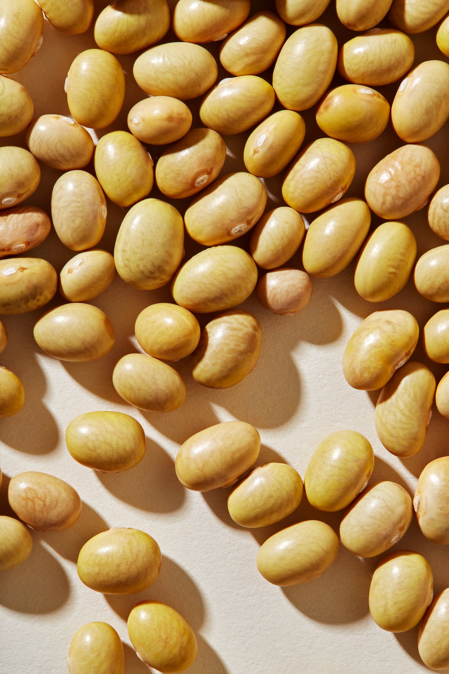 Organic Peruano Beans