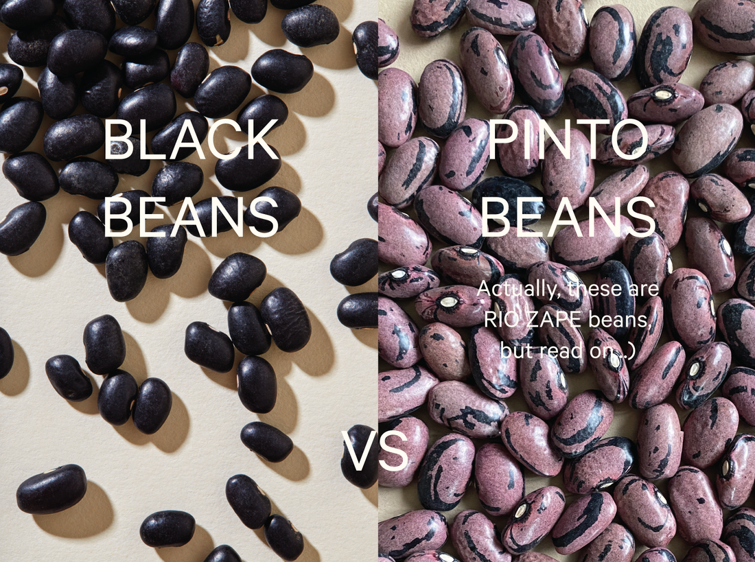 The Difference Between Blacks Beans and Pinto Beans
