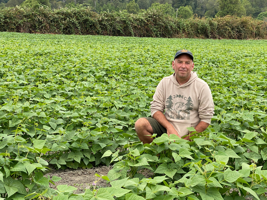 Farmer Ed sitting in a field with beans.