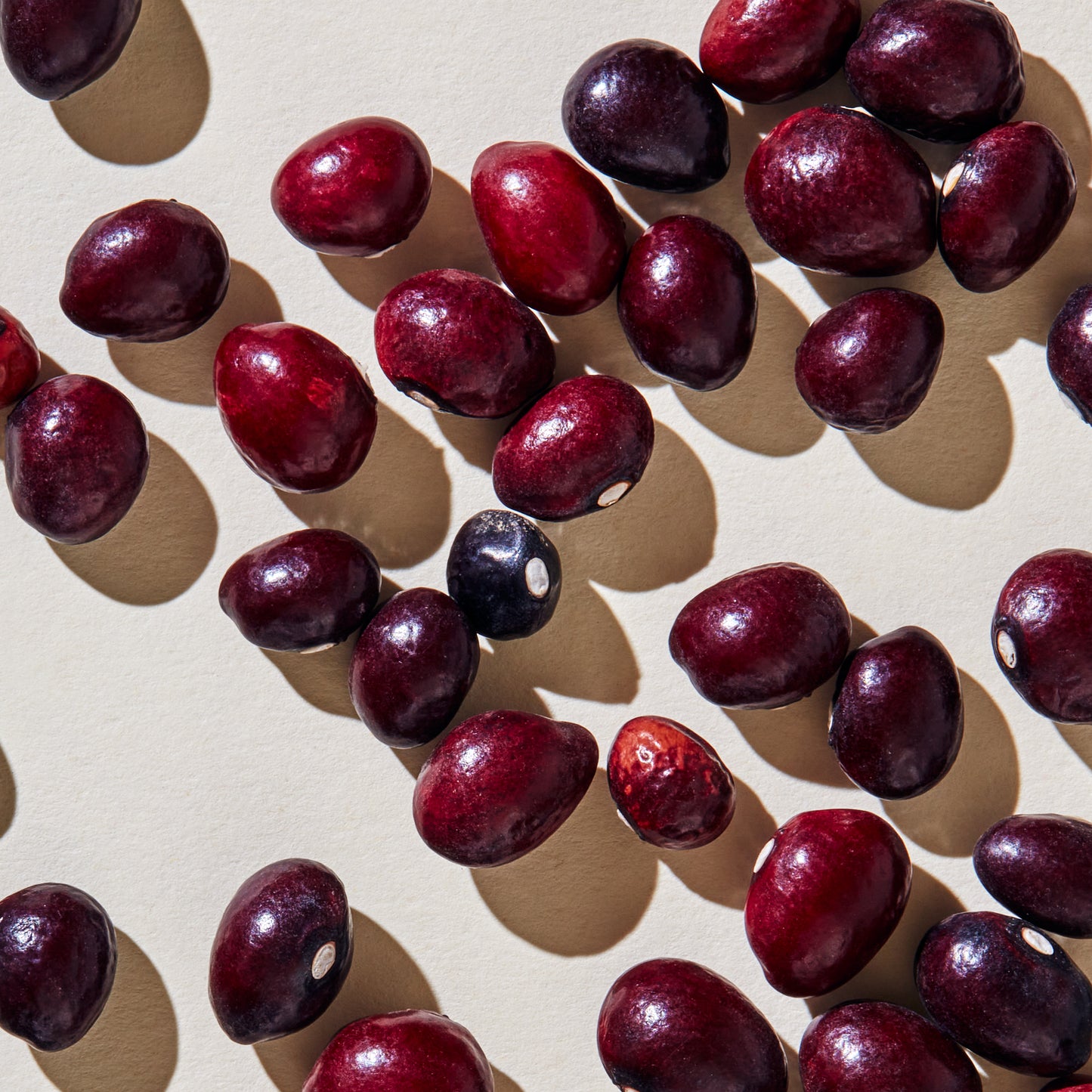 Organic True Cranberry Beans