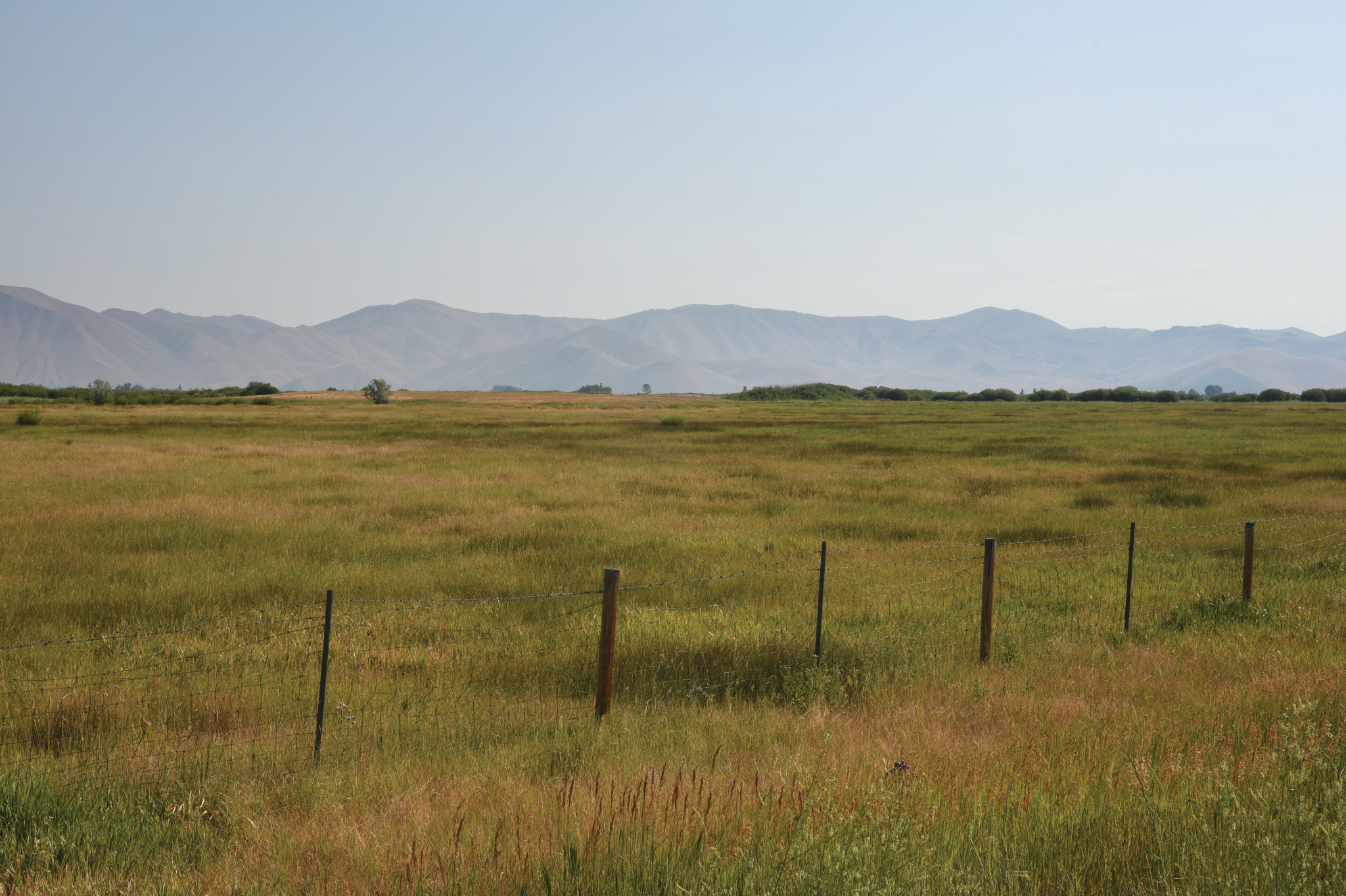 a wide open field with a fence in the foreground and hazy mountains in the distance taken in Idaho while founders of beanstory, Maggie Bentley and Katherine Yaphe, were visiting farming partners on a beautiful summer day