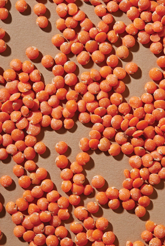 Organic Petite Crimson Lentils